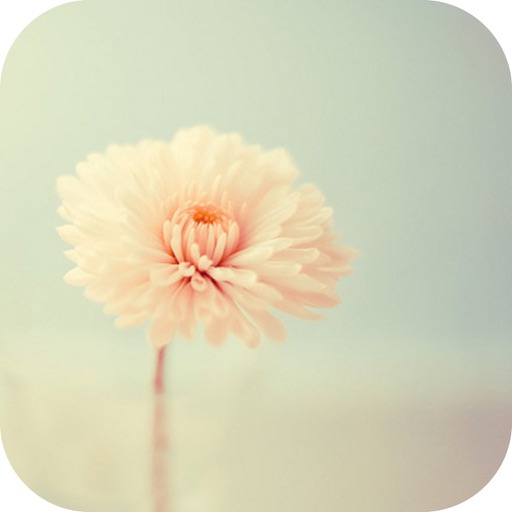 经典语录_学习感悟人生