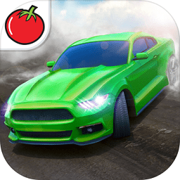 在线漂移正版下载v1.21.0 安卓版