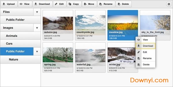 ckfinder文件管理器