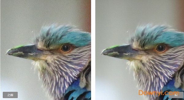 pr视频降噪点插件neat video