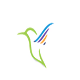 雷鸟下载软件下载v2.0.9 电脑版