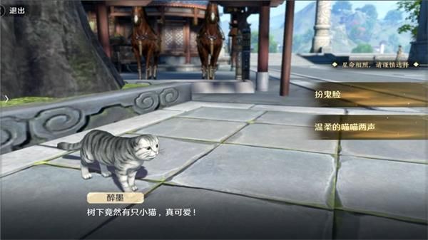 猫之友奇遇任务攻略_猫之友触发方法