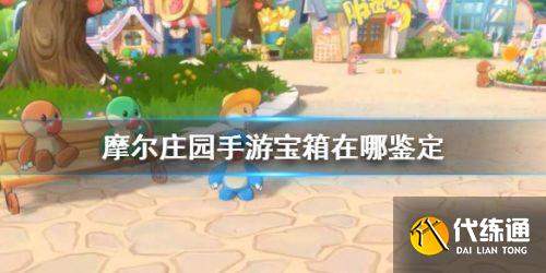 摩尔庄园手游宝箱鉴定位置坐标介绍