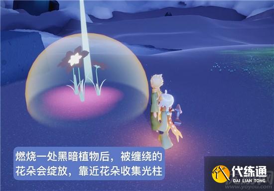 光遇小王子第四个任务完成攻略