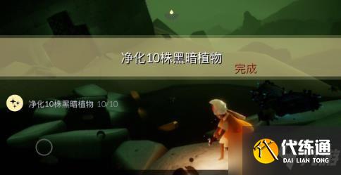 《光遇》8月17日每日任务流程分享