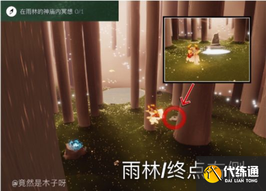 光遇8月19日任务怎么做？8.19每日任务完成攻略[多图]图片1