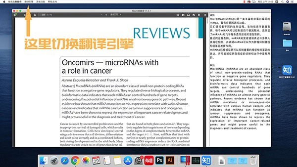 知云文献翻译mac版