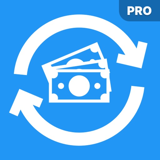 理财 财务跟踪器 理财 存钱计划 预算管家 日常开支跟踪器