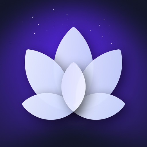 冥想: Mindfulness Meditation