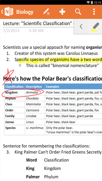 Microsoft onenote app