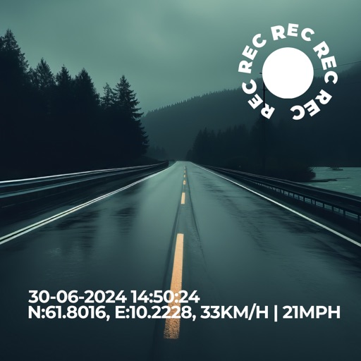 Cuspart: 行车记录器