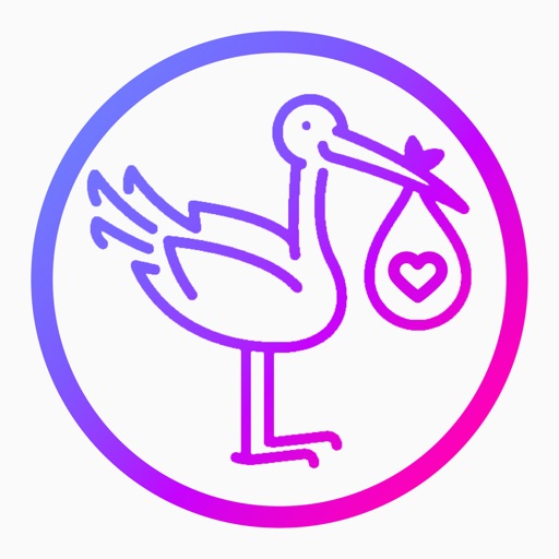 宝宝与怀孕拼贴制作器