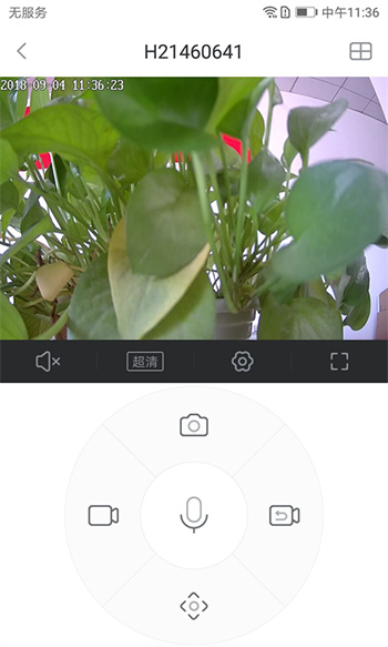 小维智慧家庭监控下载
