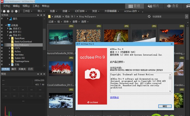 acdsee pro 10修改版