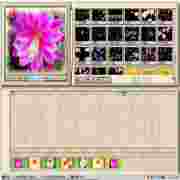 巨星mtv2002(电子相册制作工具)下载正式版