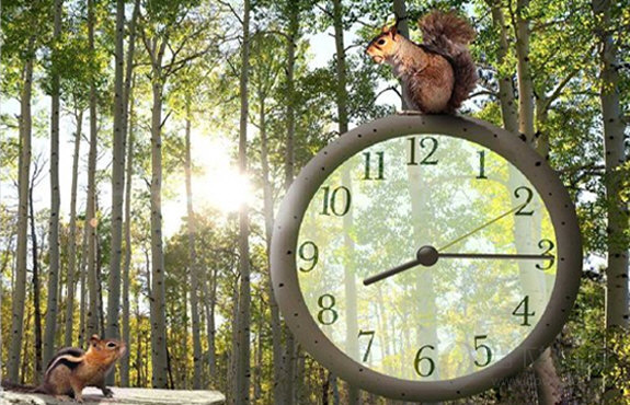 松鼠时钟屏保