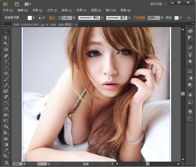 adobe lllustrator cs6