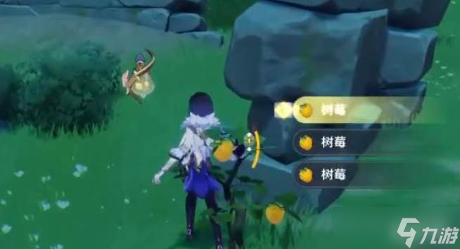 原神树莓介绍