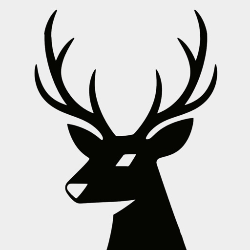 光墟社区-年轻人的兴趣多元星球