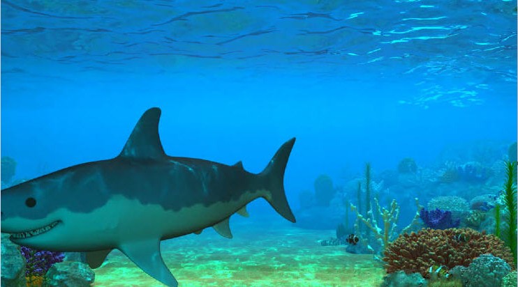 3d海底世界动态桌面