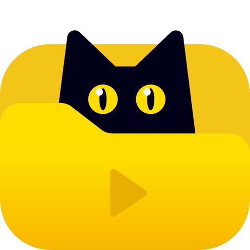 Filmix - AI影视库重命名整理刮削